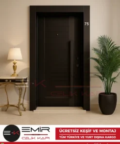 Luxury-Ral-8022-Celik-Kapi