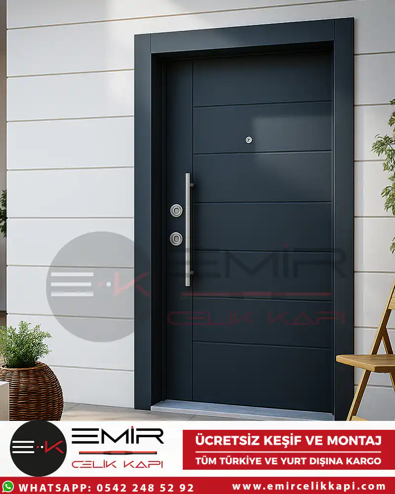 Teksas-Celik-Kapi-Gri-Ral-7016-Emir